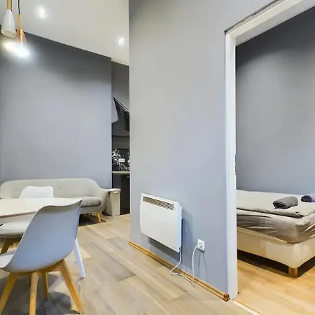 Apartament Cosy Gray In Heart Of Budapeszt